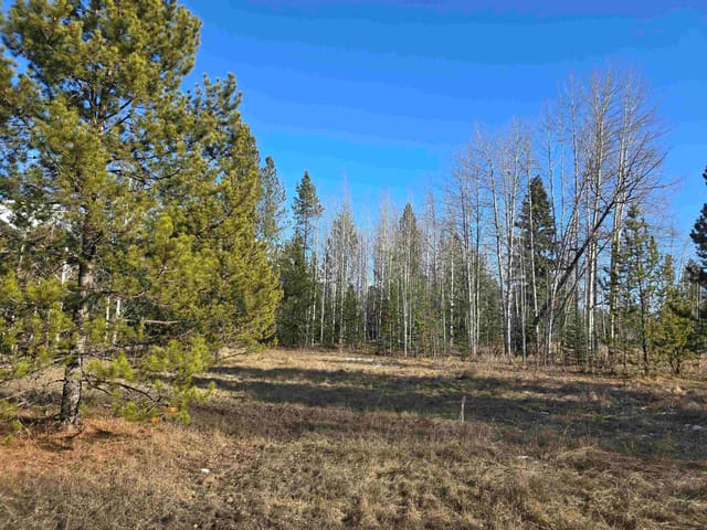 Lot for sale in Valemount, Robson Valley, Lot 1 13th Avenue, 263106412 | Realtylink.org