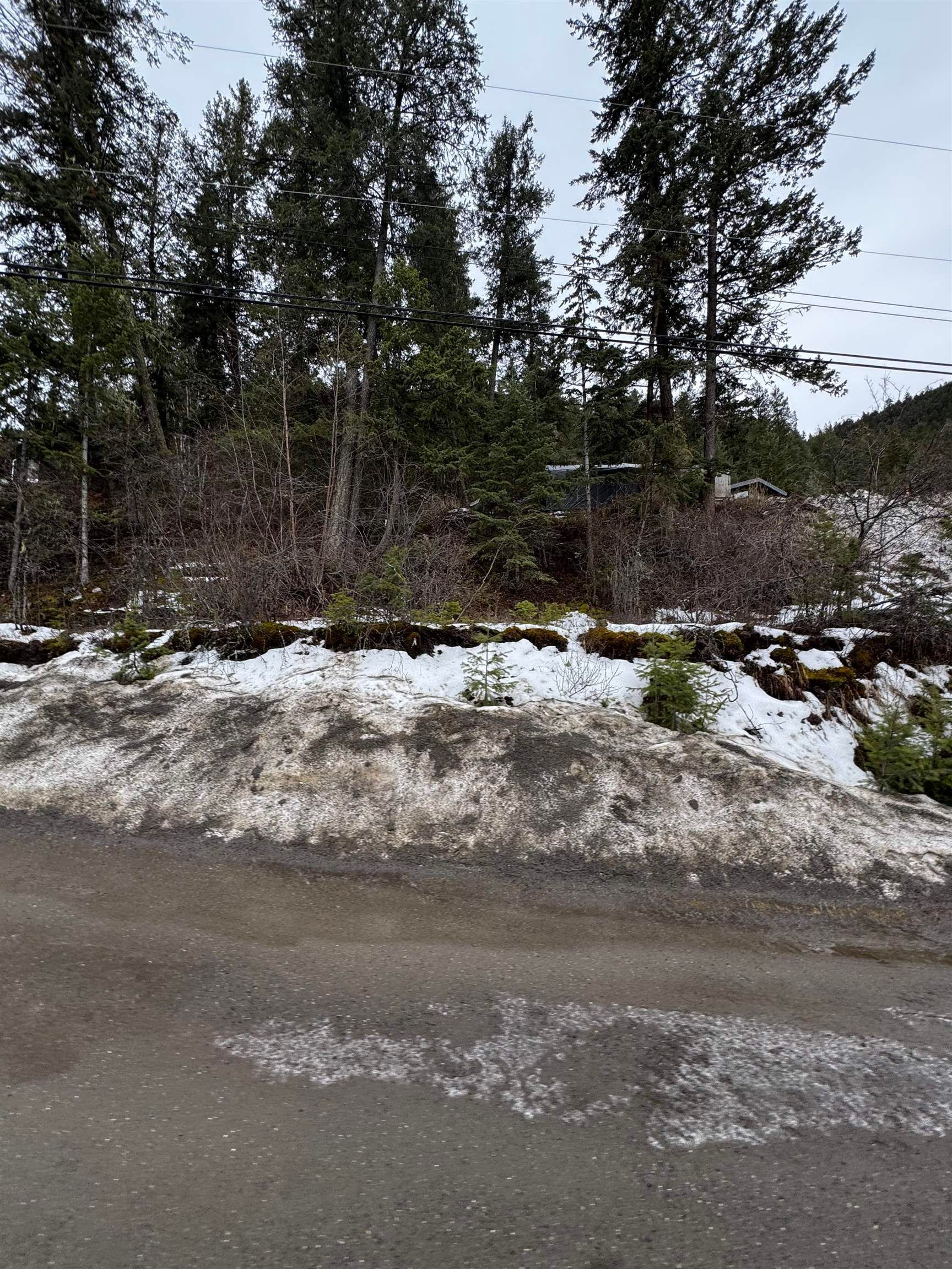 Lot for sale in Williams Lake, Williams Lake, 1955 S Lakeside Drive, 263106564 | Realtylink.org