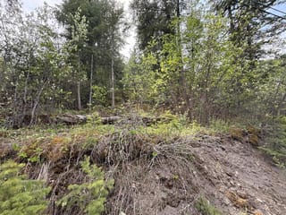 Lot for sale in Williams Lake, Williams Lake, 1955 S Lakeside Drive, 263106564 | Realtylink.org