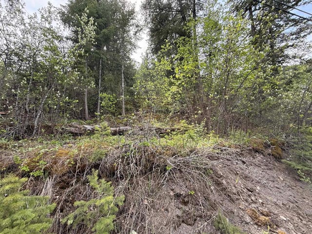 Lot for sale in Williams Lake, Williams Lake, 1955 S Lakeside Drive, 263106564 | Realtylink.org