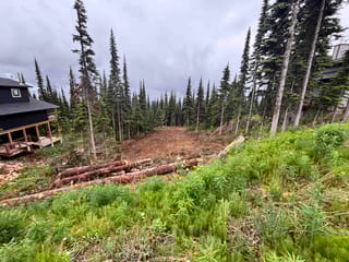 Lot for sale in Smithers, Smithers And Area, 192 Alpine Way, 263107139 | Realtylink.org