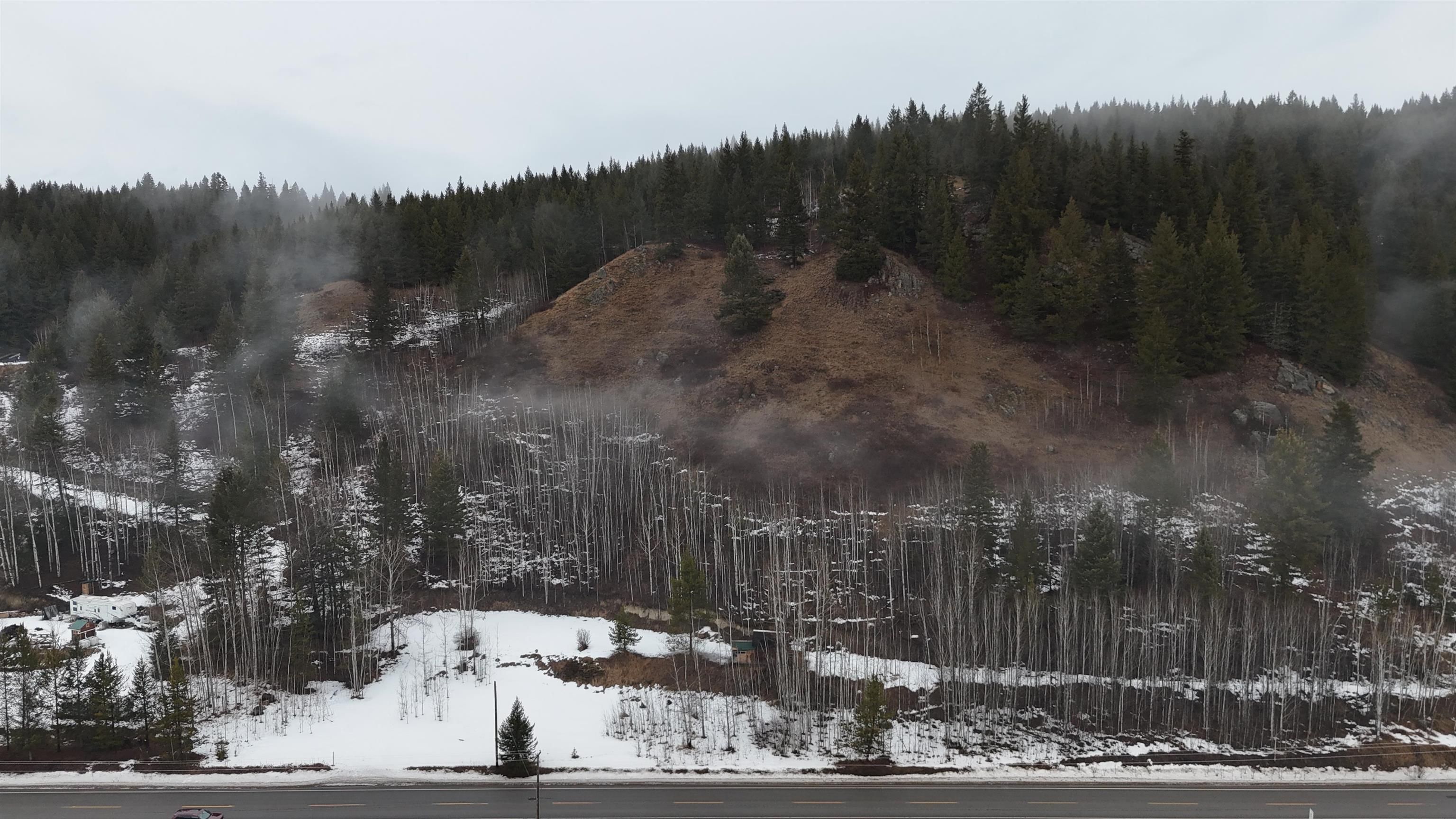 Lot for sale in Forest Grove, 100 Mile House, 4468 Canim-Hendrix Lake Road, 263107309 | Realtylink.org