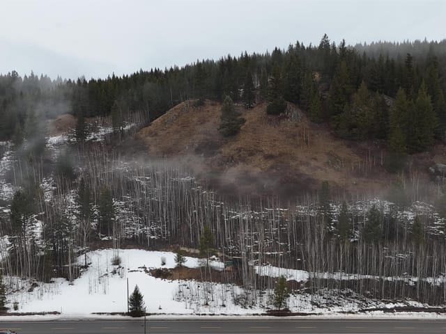 Lot for sale in Forest Grove, 100 Mile House, 4468 Canim-Hendrix Lake Road, 263107309 | Realtylink.org