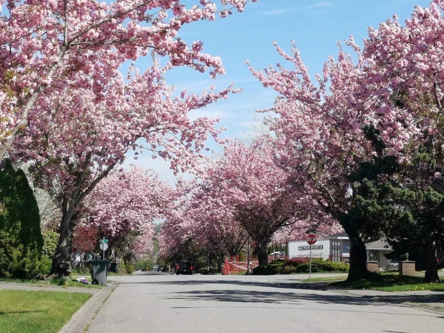 House for sale in Surrey, North Surrey, 15759 101 Avenue, 263107481 | Realtylink.org