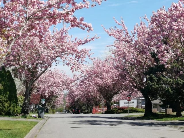 House for sale in Surrey, North Surrey, 15759 101 Avenue, 263107481 | Realtylink.org