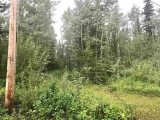Lot for sale in Vanderhoof, Vanderhoof And Area, 1522 Aspen Drive, 263108243 | Realtylink.org