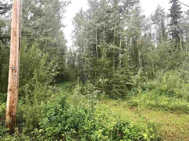Lot for sale in Vanderhoof, Vanderhoof And Area, 1522 Aspen Drive, 263108243 | Realtylink.org