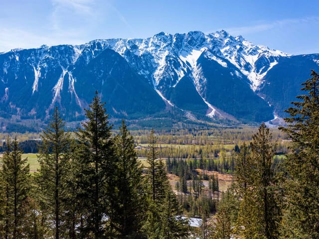 Lot for sale in Pemberton, Pemberton, 8203 Merlot Peak Drive, 263108337 | Realtylink.org