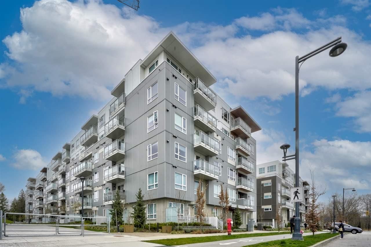 Apartment for sale in Surrey, Surrey, 214 13963 105 Boulevard, 263108809 | Realtylink.org