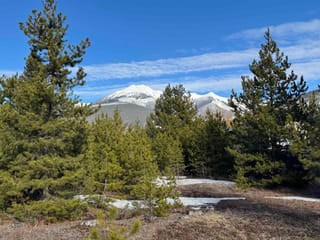 Lot for sale in Valemount, Robson Valley, 1330 9th Avenue, 263110374 | Realtylink.org