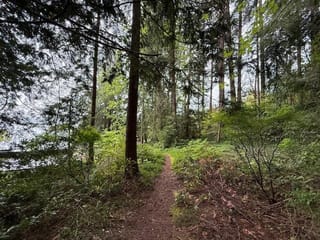 Lot for sale in Gibsons, Sunshine Coast, Lot 10 Elphinstone Avenue, 263110644 | Realtylink.org
