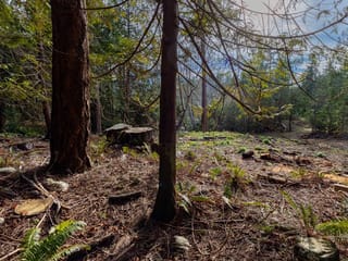 Lot for sale in Garden Bay, Sunshine Coast, Lot 16 Sinclair Bay Road, 263111073 | Realtylink.org