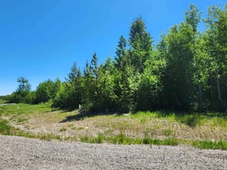 Lot for sale in Prince George, PG Rural West, LOT 6 Pamela Road, 263111112 | Realtylink.org