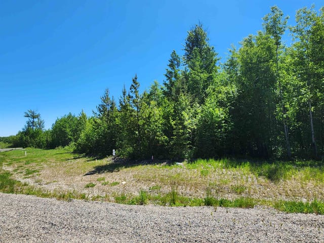 Lot for sale in Prince George, PG Rural West, LOT 6 Pamela Road, 263111112 | Realtylink.org