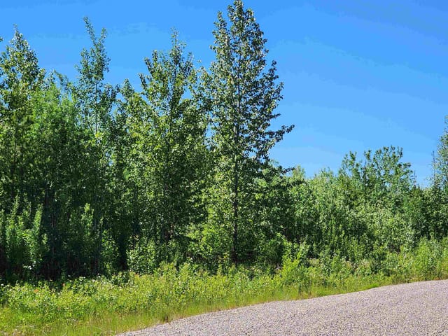 Lot for sale in Prince George, PG Rural West, LOT 6 Pamela Road, 263111112 | Realtylink.org