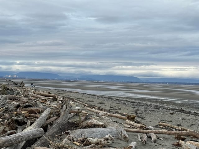 House for sale in Delta, Tsawwassen, 225 67a Street, 263111451 | Realtylink.org