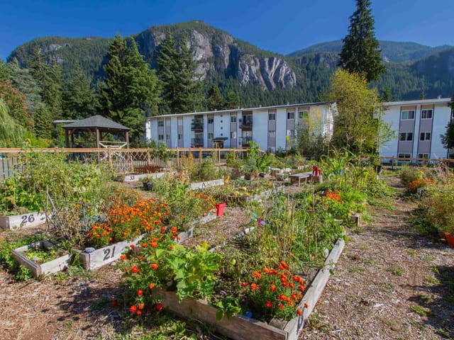 Apartment for sale in Squamish, Squamish, 25 38175 Westway Avenue, 263111664 | Realtylink.org
