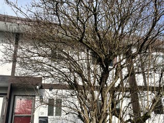 Townhouse for sale in Terrace, Terrace, 125 4529 Straume Avenue, 263112026 | Realtylink.org