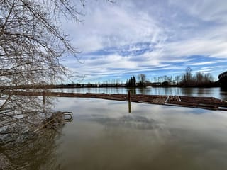 House for sale in New Westminster, New Westminster, 1455 South Dyke Road, 263112029 | Realtylink.org