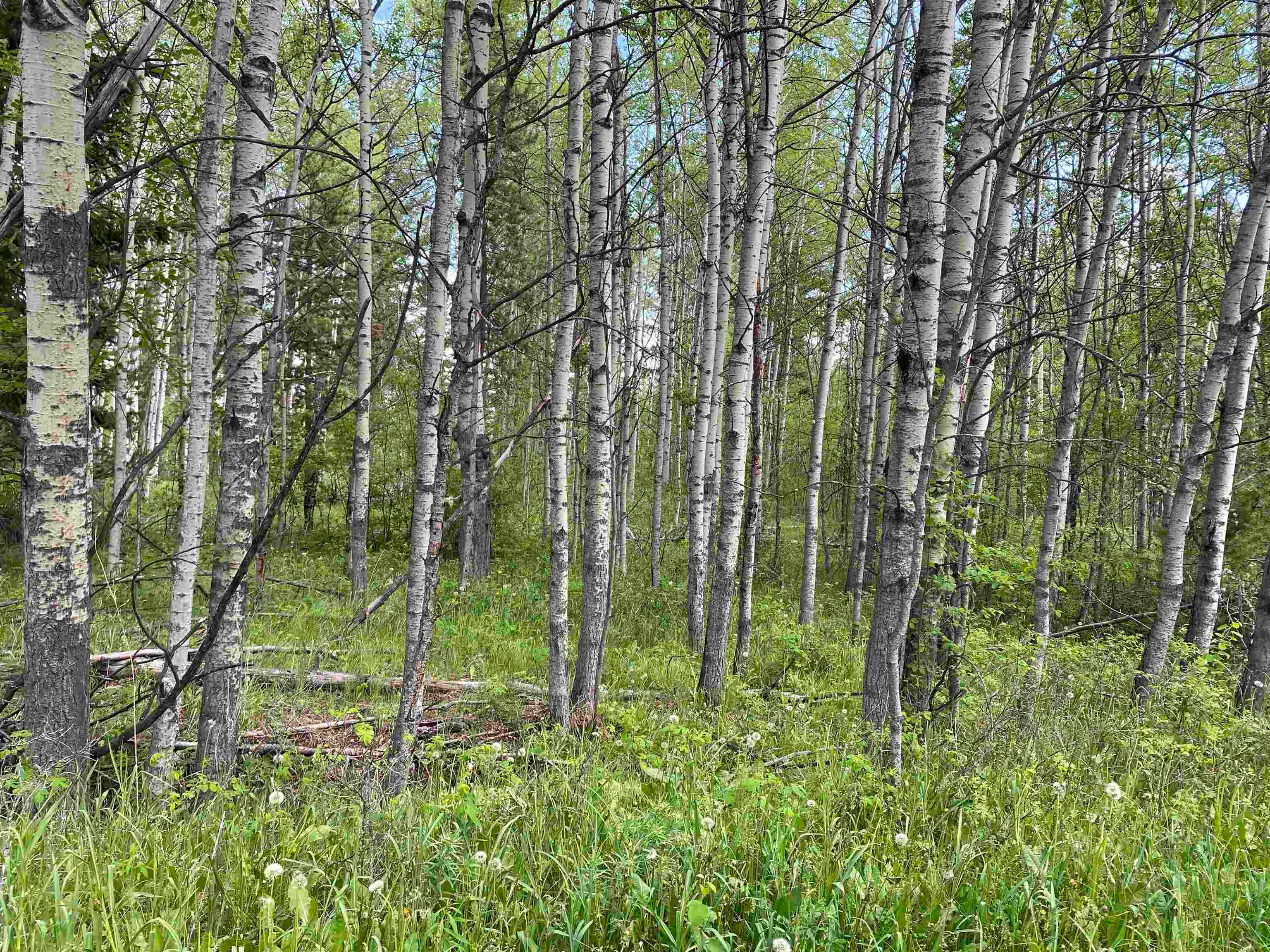 Lot for sale in 103 Mile House, 100 Mile House, Lot 4 Lakeside Court, 263112594 | Realtylink.org