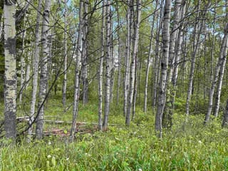 Lot for sale in 103 Mile House, 100 Mile House, Lot 4 Lakeside Court, 263112594 | Realtylink.org