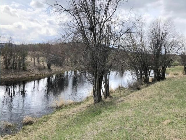 Lot for sale in Burns Lake, Burns Lake, Dl 4260 E Palling Road, 263113212 | Realtylink.org