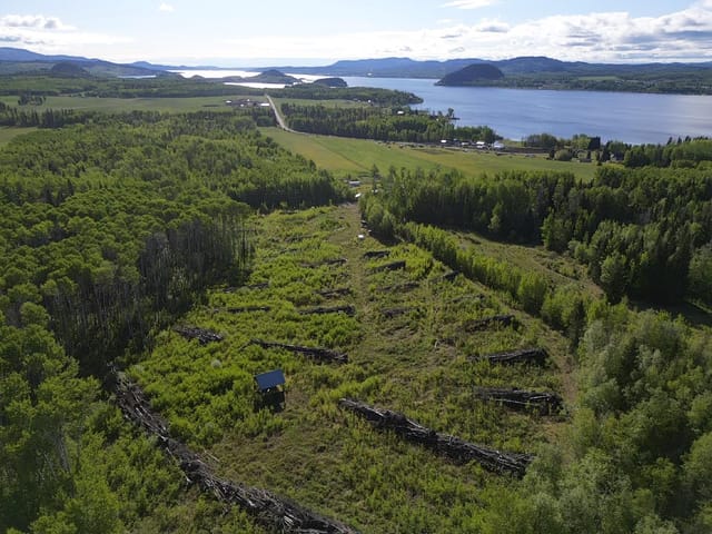 Lot for sale in Fraser Lake, Vanderhoof And Area, Lot a Hart Road, 263113419 | Realtylink.org