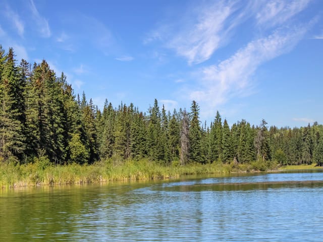 Lot for sale in Bridge Lake, 100 Mile House, PROP Lot 9 Brown Road, 263113553 | Realtylink.org