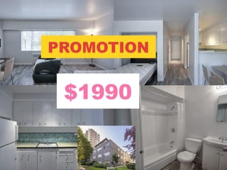 Apartment for rent in Vancouver, Vancouver West, 110 1540 Haro Street, 263113841 | Realtylink.org