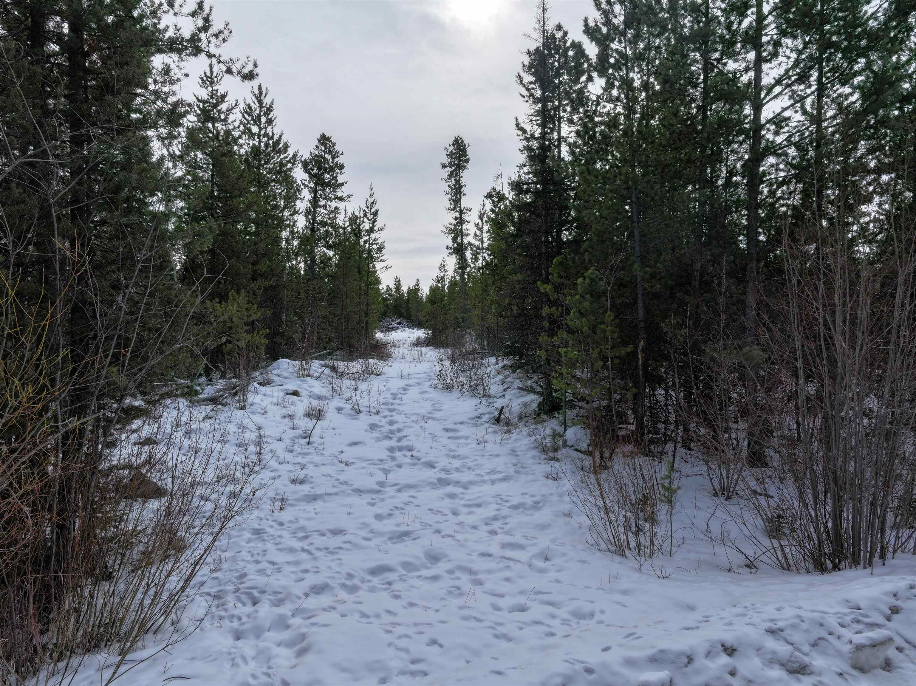 Lot for sale in Lone Butte, 100 Mile House, Lot 11 Evergreen Drive, 263113895 | Realtylink.org