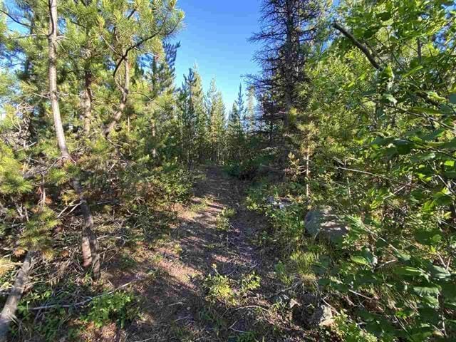 Lot for sale in Lone Butte, 100 Mile House, Lot 11 Evergreen Drive, 263113895 | Realtylink.org