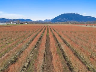 House for sale in Abbotsford, Abbotsford, 6209 Little Street, 263114566 | Realtylink.org