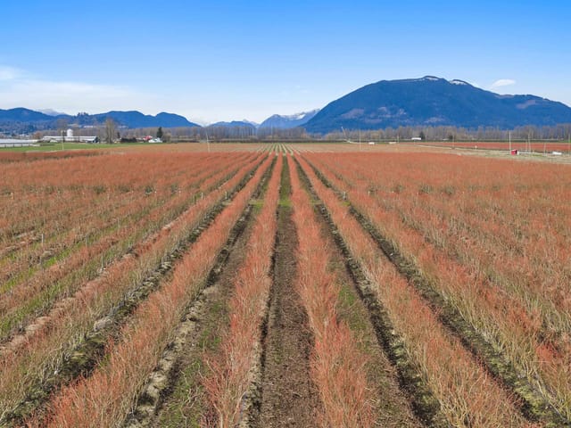 House for sale in Abbotsford, Abbotsford, 6209 Little Street, 263114566 | Realtylink.org