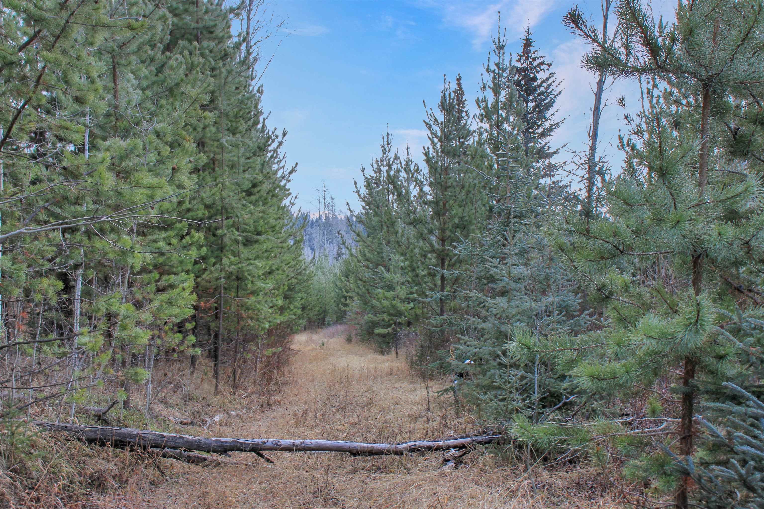 Lot for sale in Bridge Lake, 100 Mile House, PROP Lot 15 Brown Road, 263114903 | Realtylink.org