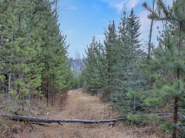 Lot for sale in Bridge Lake, 100 Mile House, PROP Lot 15 Brown Road, 263114903 | Realtylink.org