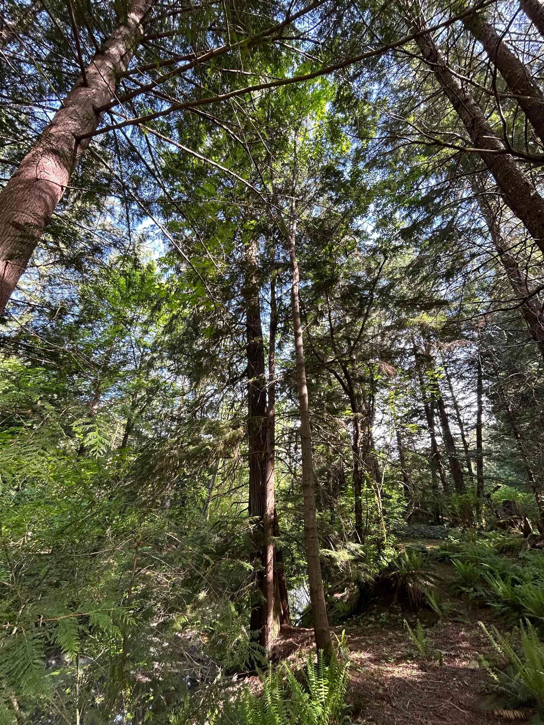 Manufactured Home for sale in Squamish, Squamish, 9063 Paradise Valley Road, 263115029 | Realtylink.org