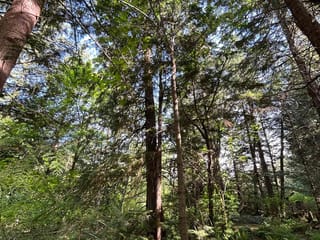 Manufactured Home for sale in Squamish, Squamish, 9063 Paradise Valley Road, 263115029 | Realtylink.org