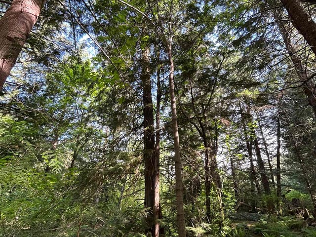 Manufactured Home for sale in Squamish, Squamish, 9063 Paradise Valley Road, 263115029 | Realtylink.org