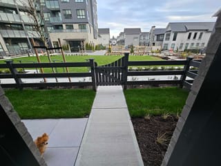 Apartment for rent in Surrey, Surrey, 1FL 15738 85 Avenue, 263115440 | Realtylink.org