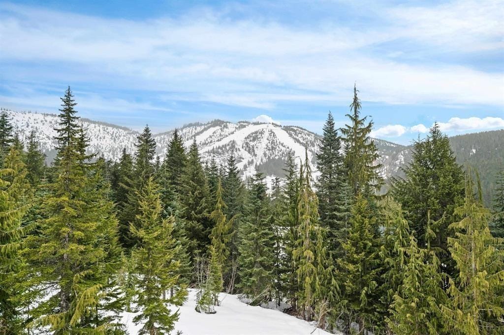 Lot for sale in Mission, Mission, 47065 Snowmist Drive, 263115929 | Realtylink.org