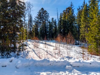 Lot for sale in Lone Butte, 100 Mile House, Lot 177 Faraway Road, 263116043 | Realtylink.org