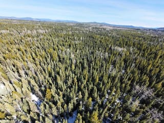 Lot for sale in Prince George, PG Rural East, Dl2743 Beaver Forest Service Road, 263116479 | Realtylink.org