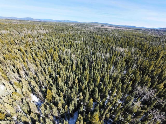 Lot for sale in Prince George, PG Rural East, Dl2743 Beaver Forest Service Road, 263116479 | Realtylink.org