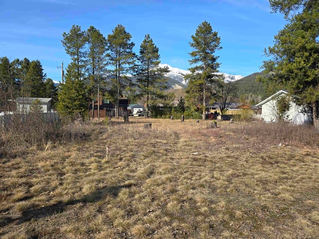 Lot for sale in Valemount, Robson Valley, 1260 4th Avenue, 263116656 | Realtylink.org