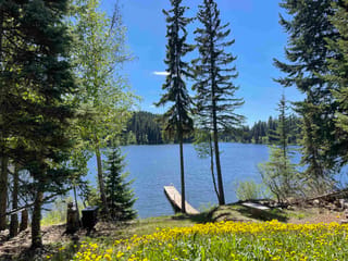 Lot for sale in Bridge Lake, 100 Mile House, Lot 10 N Bridge Lake Road, 263117321 | Realtylink.org