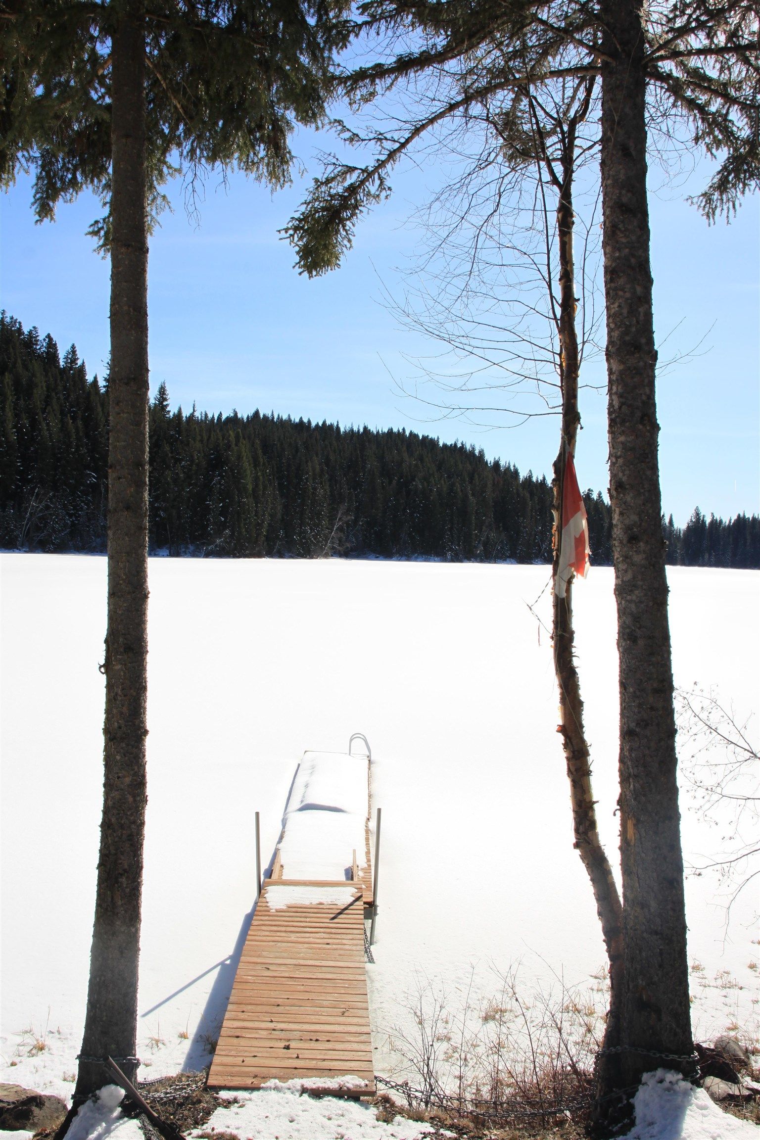 Lot for sale in Bridge Lake, 100 Mile House, Lot 10 N Bridge Lake Road, 263117321 | Realtylink.org