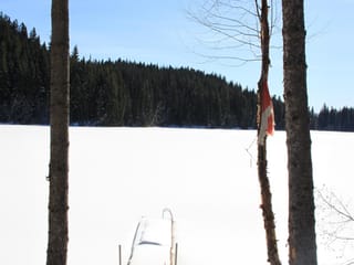 Lot for sale in Bridge Lake, 100 Mile House, Lot 10 N Bridge Lake Road, 263117321 | Realtylink.org