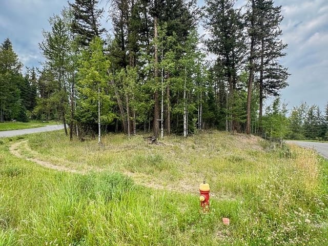 Lot for sale in 108 Mile Ranch, 100 Mile House, Lot 33 Kallum Drive, 263117556 | Realtylink.org