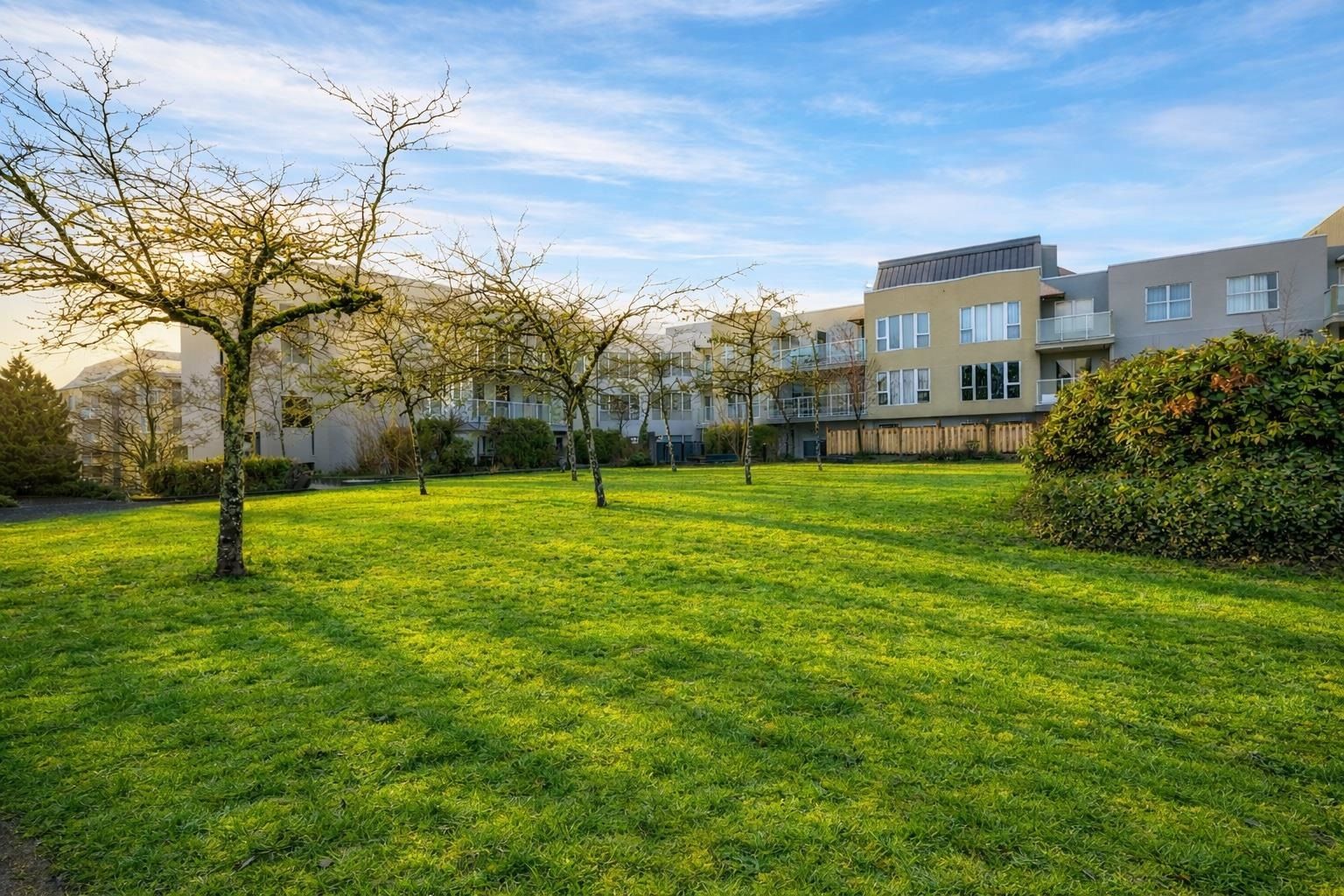 Apartment for sale in Richmond, Richmond, 317 7800 St. Albans Road, 263118171 | Realtylink.org