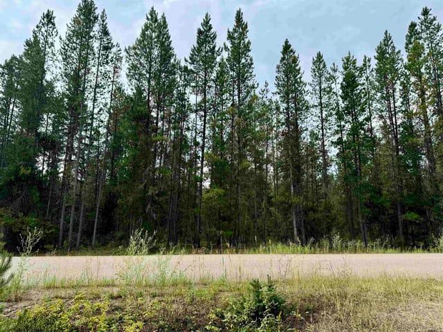 Lot for sale in Valemount, Robson Valley, LOT 8 Pine Road, 263118254 | Realtylink.org